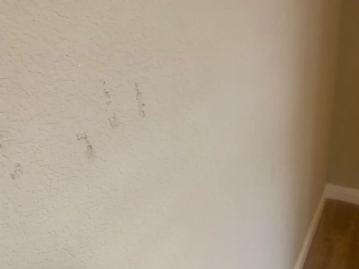 Wall marks documented before repair during the Spring Falls make-ready