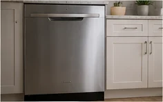 Stainless steel dishwasher